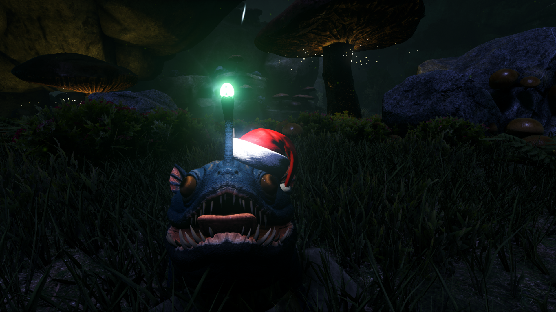 HoHoHO