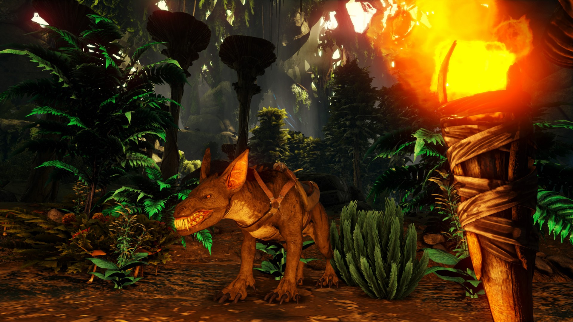 Aberration.