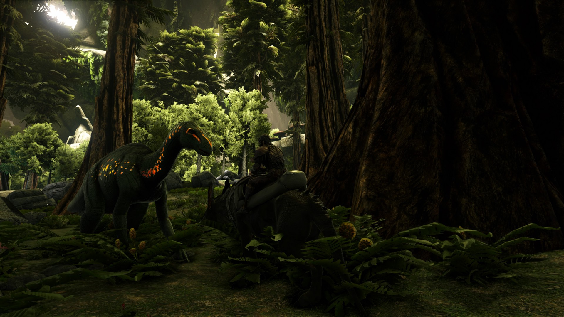 Aberration.
