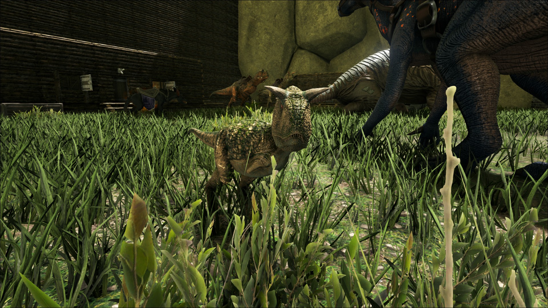 Baby Carno