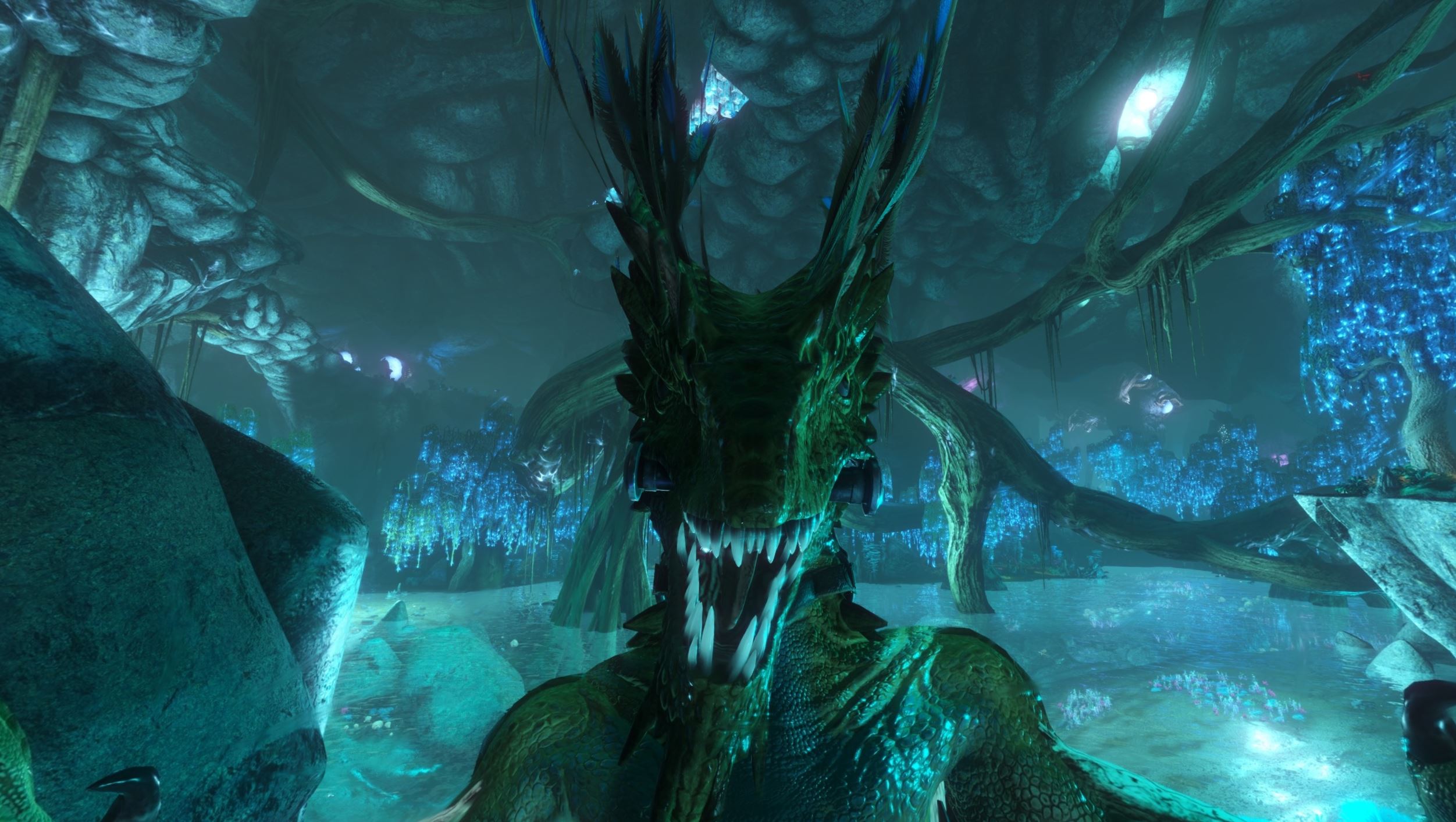 Mein Drake kann Selfie machen o,O