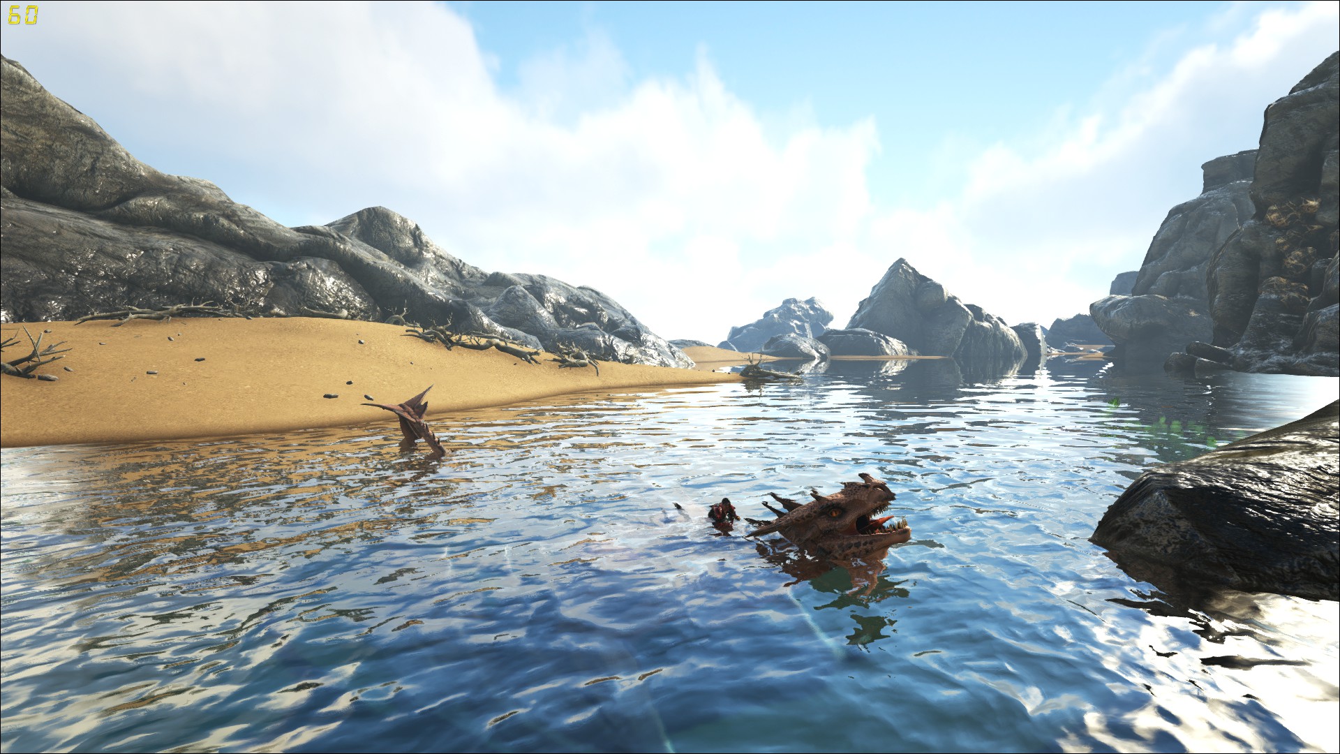 Auch eine Wyvern musst mal baden!