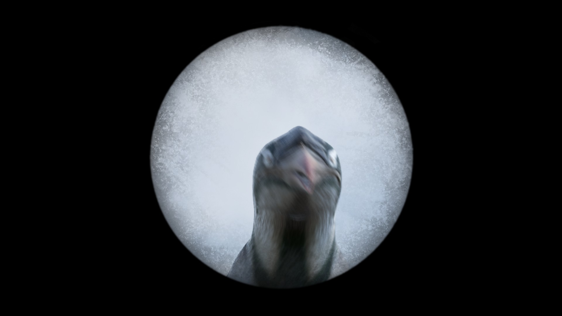 Pinguin 007