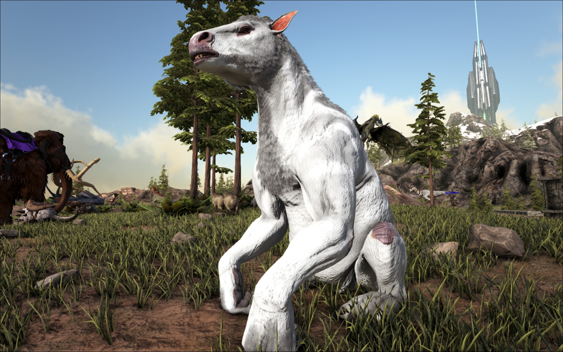 Albino ^^