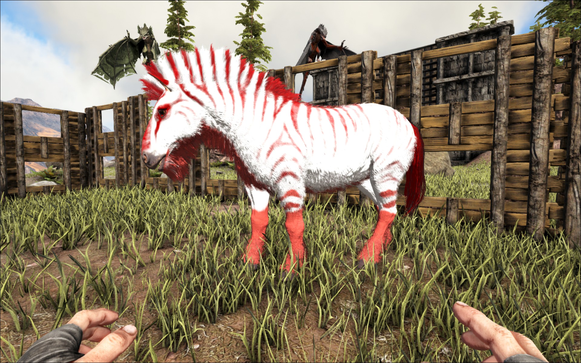 Alpha Pony