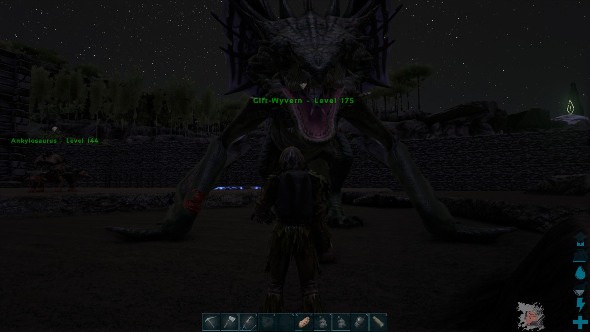 mein erster Wyvern