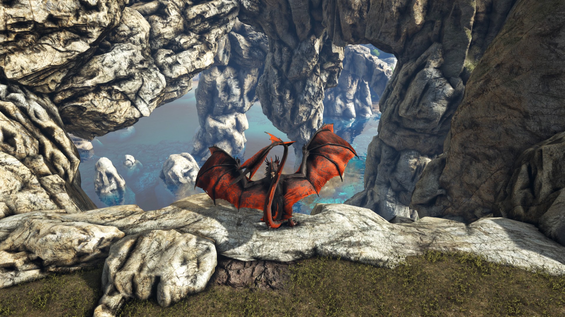 Wyvern Ausflug!