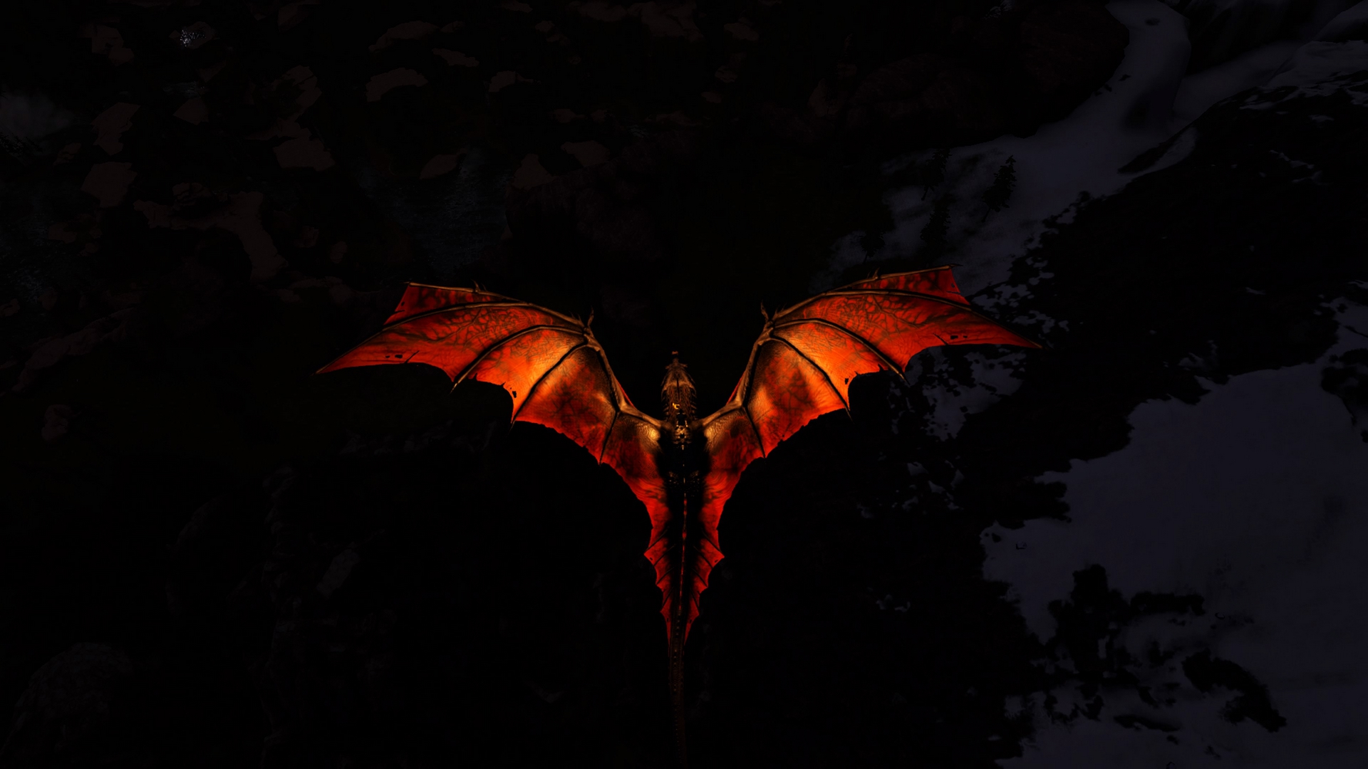 Wyvern Ausflug!