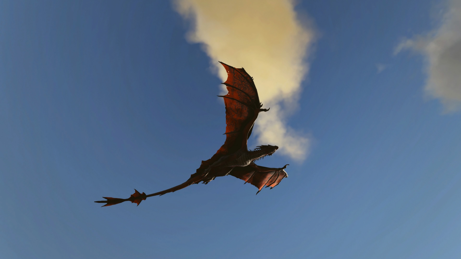 Wyvern Ausflug!