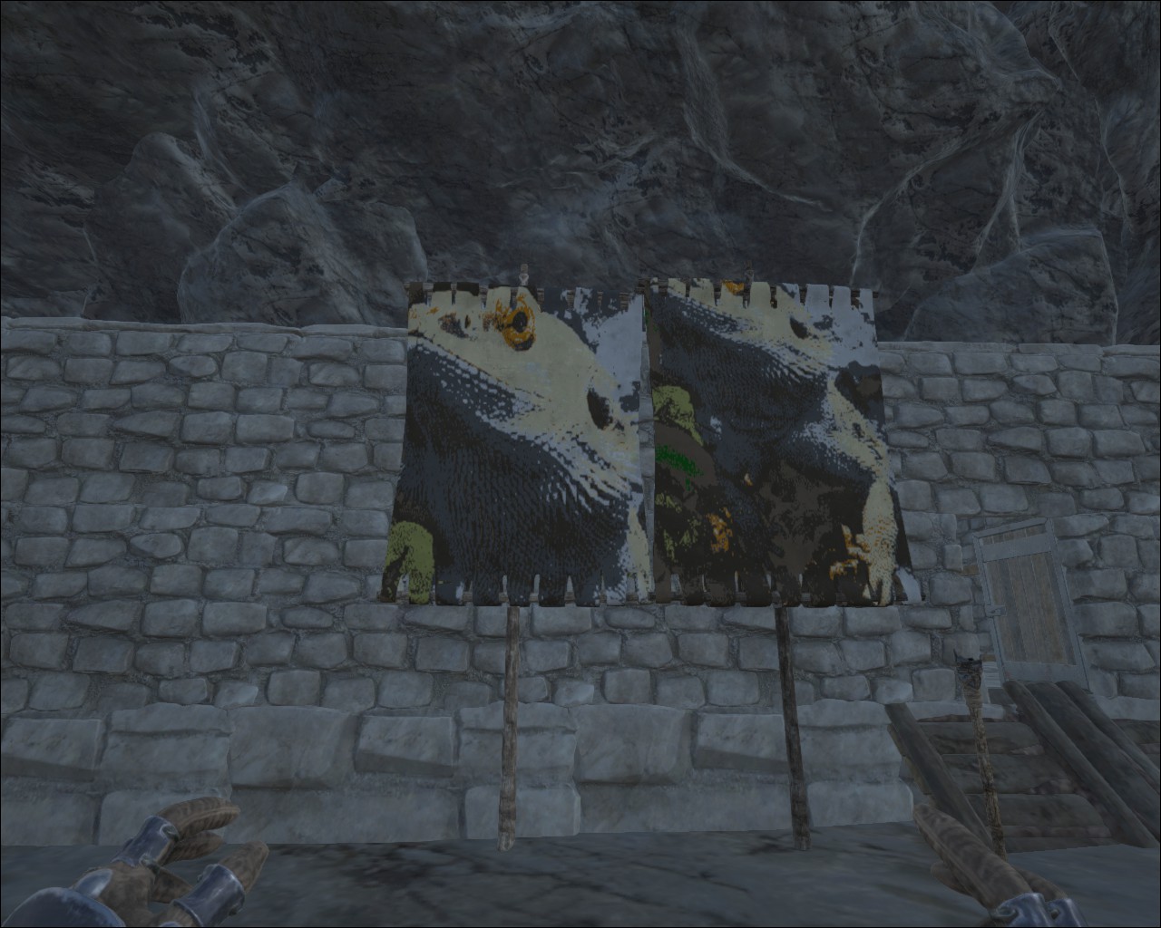 Meine Bartagame Eragon im Spiel verewigt
