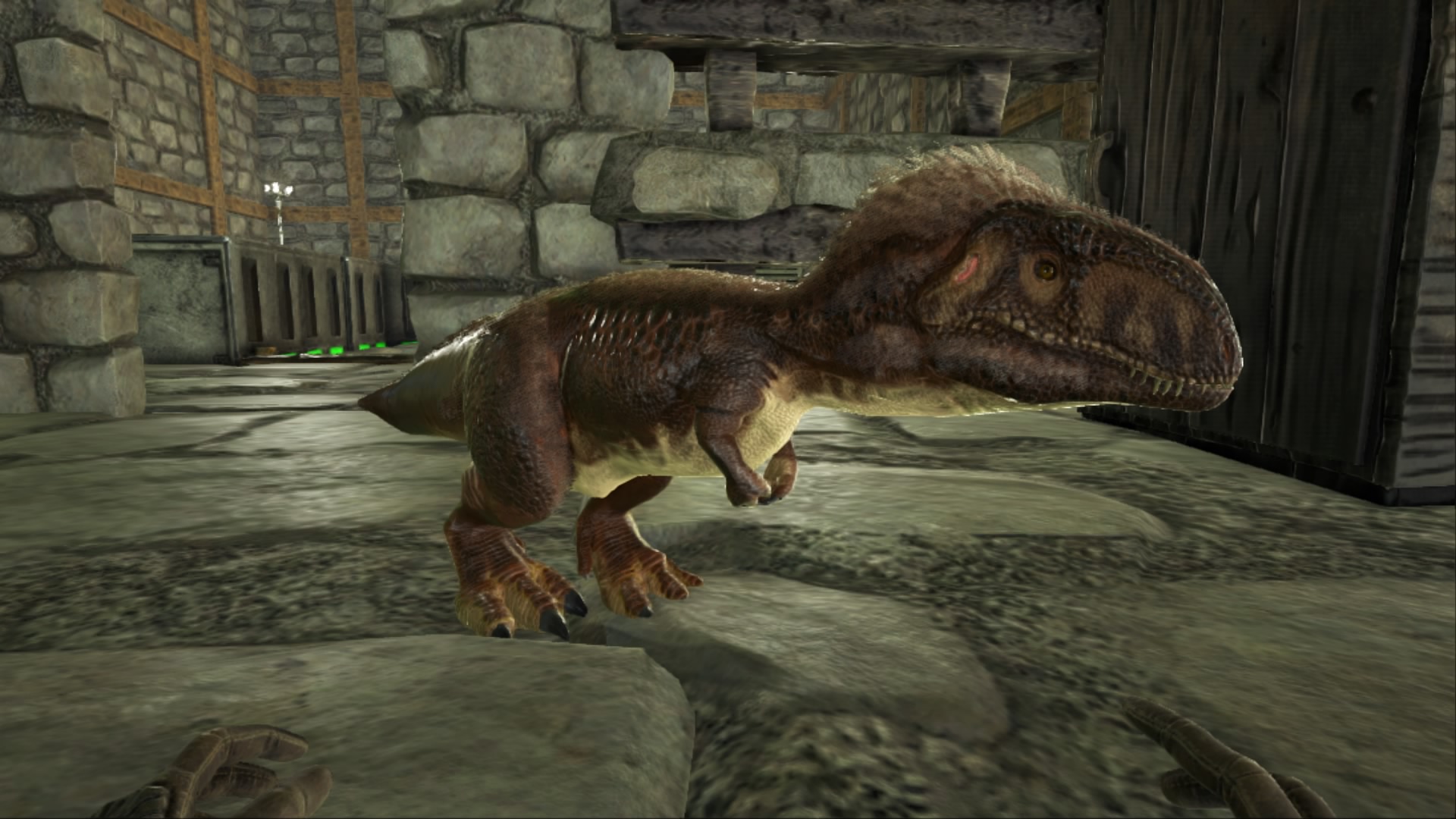 Baby Dino