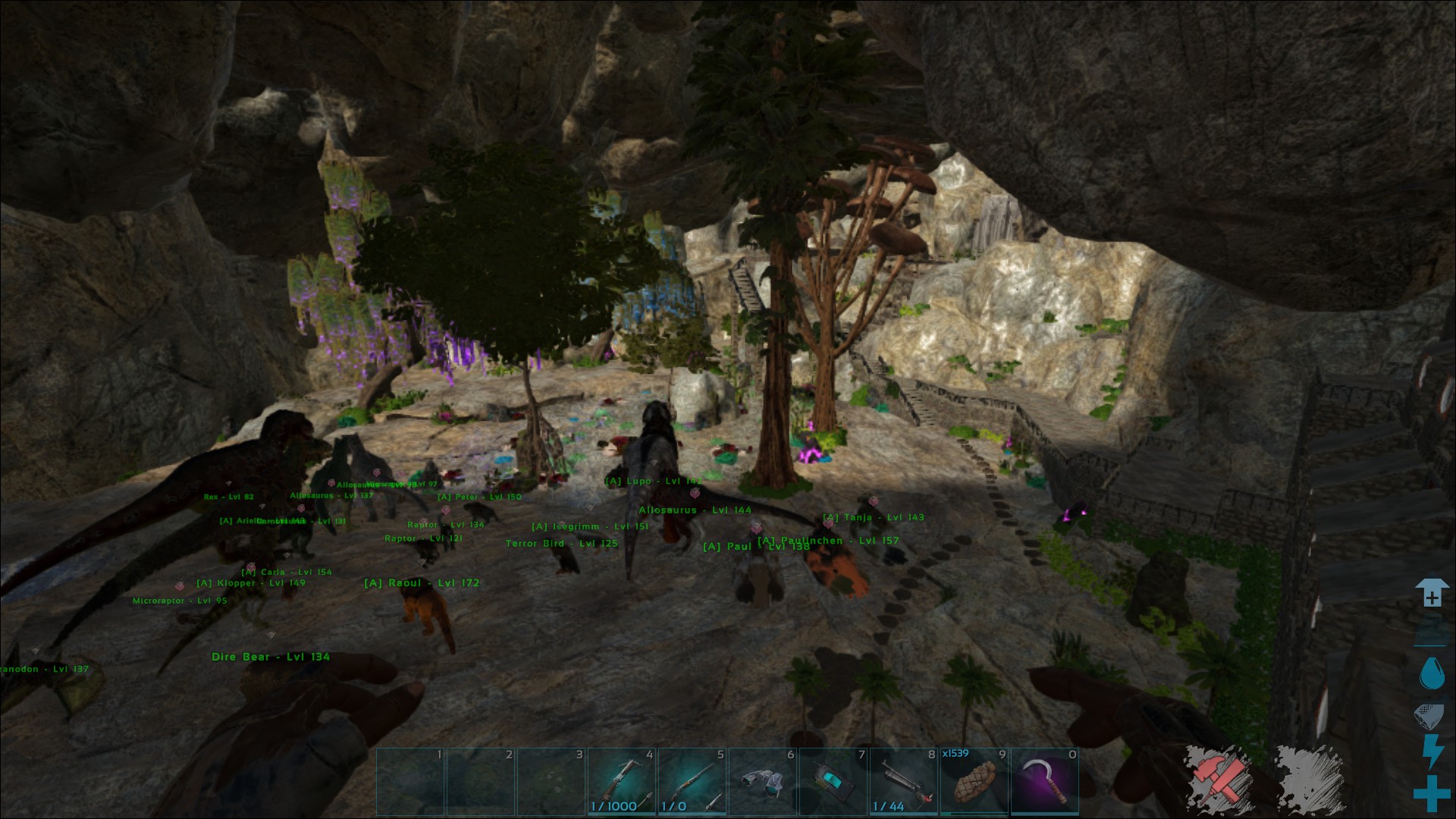 Ragnarok the next session