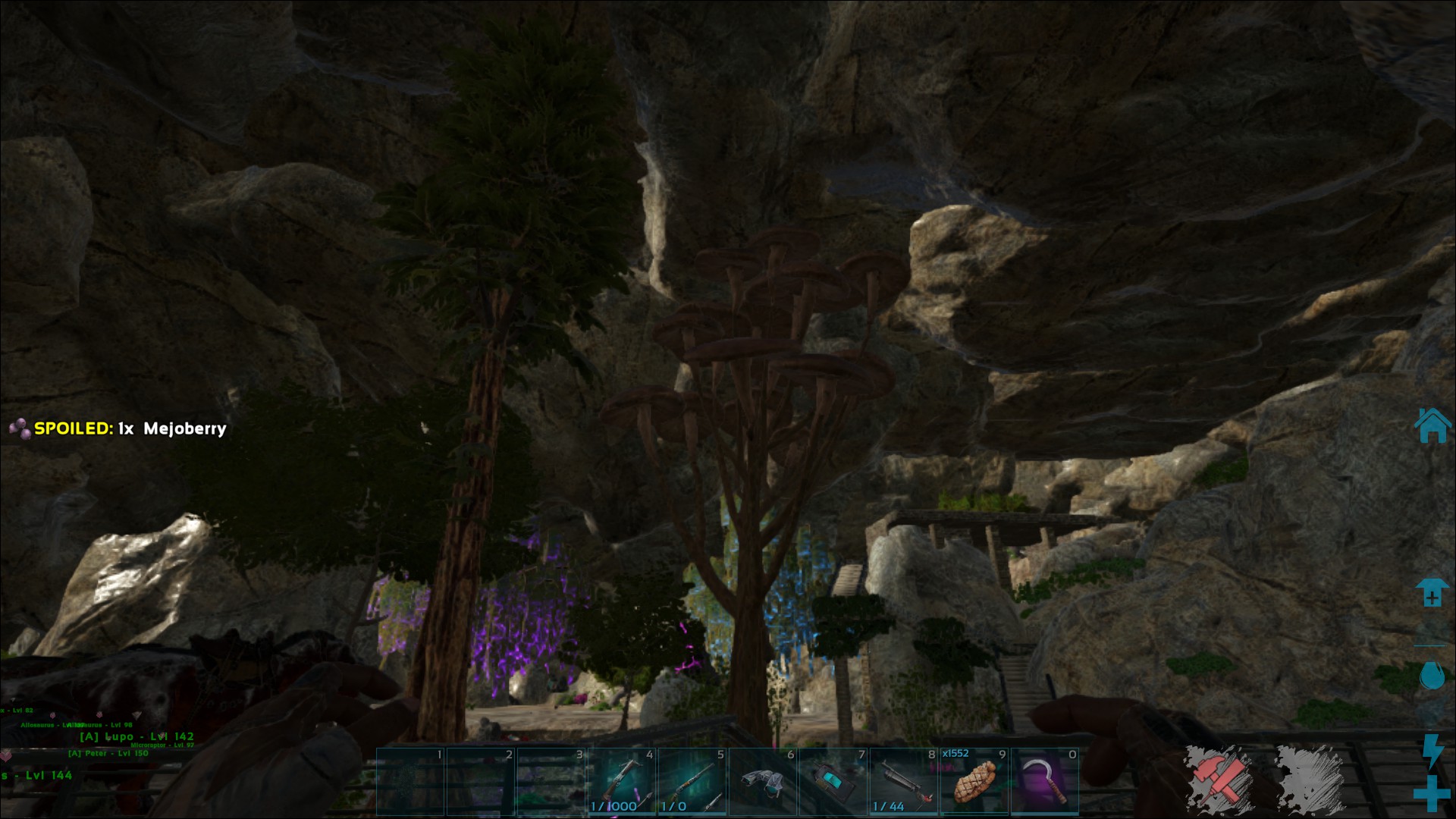 Ragnarok the next session