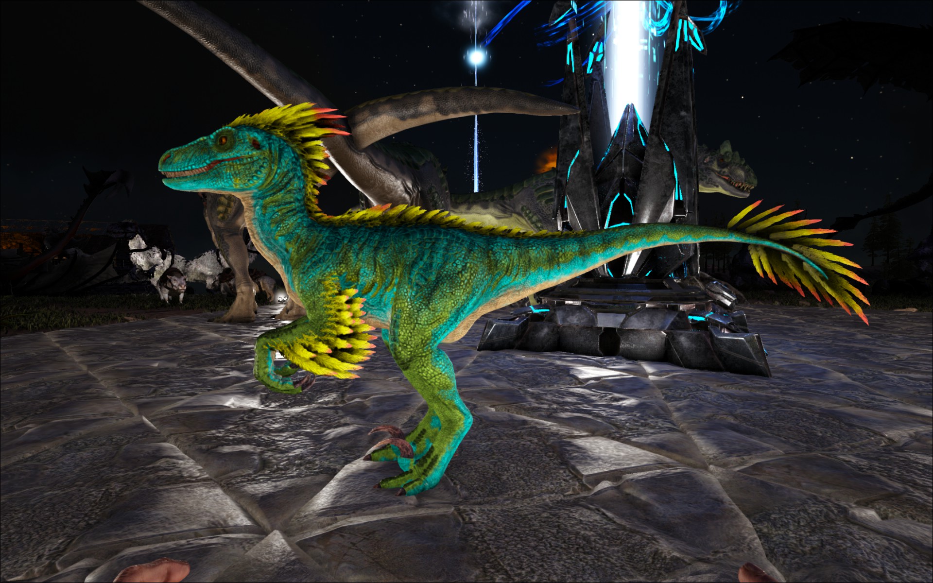Raptor mal anders :D