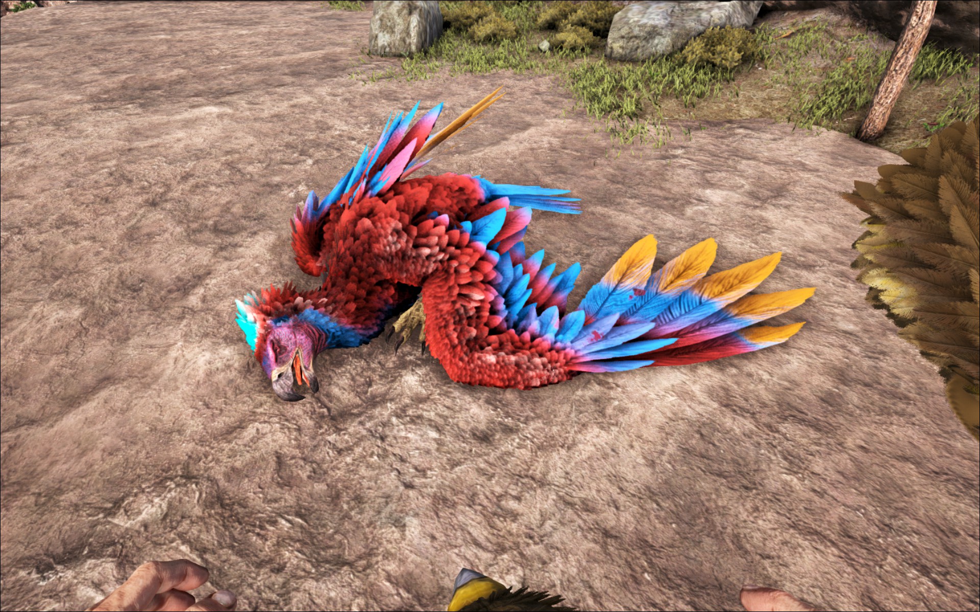 Ich wollte schon immer nen Papagei in Ark ^^