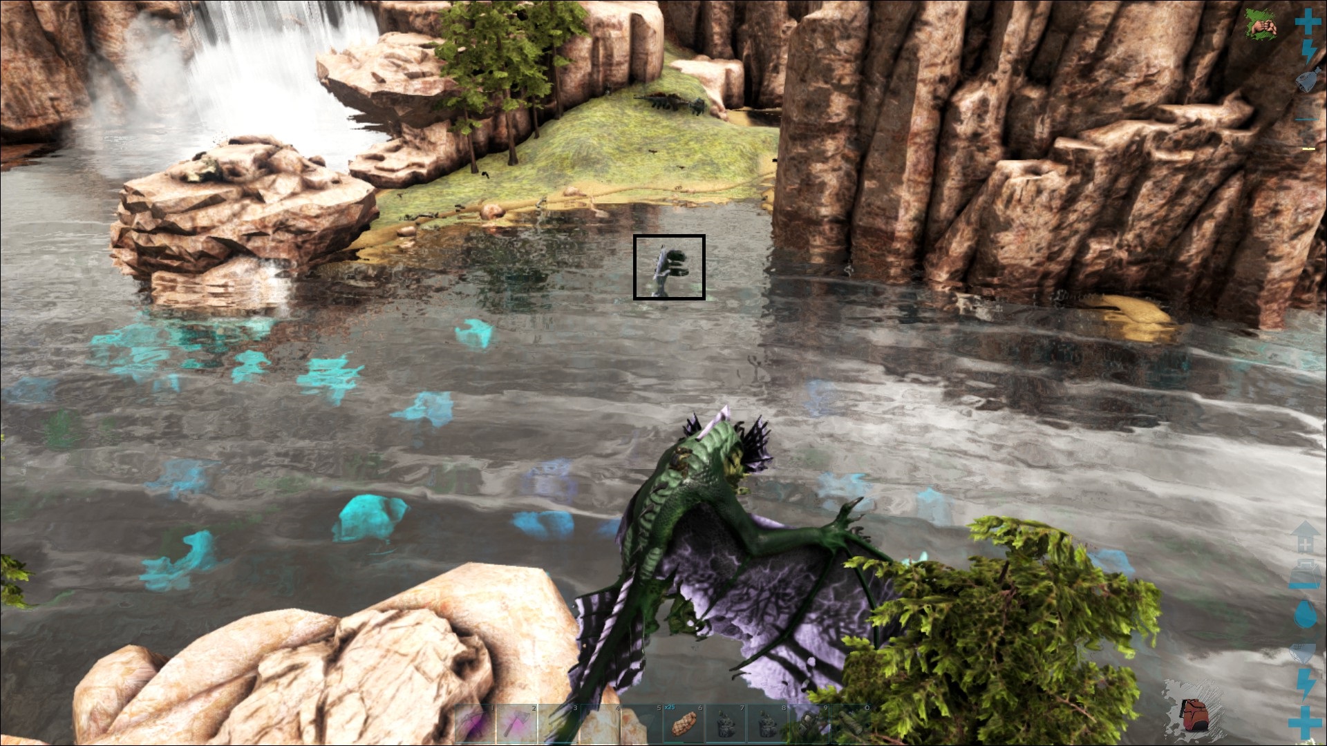 Spino Nr 1