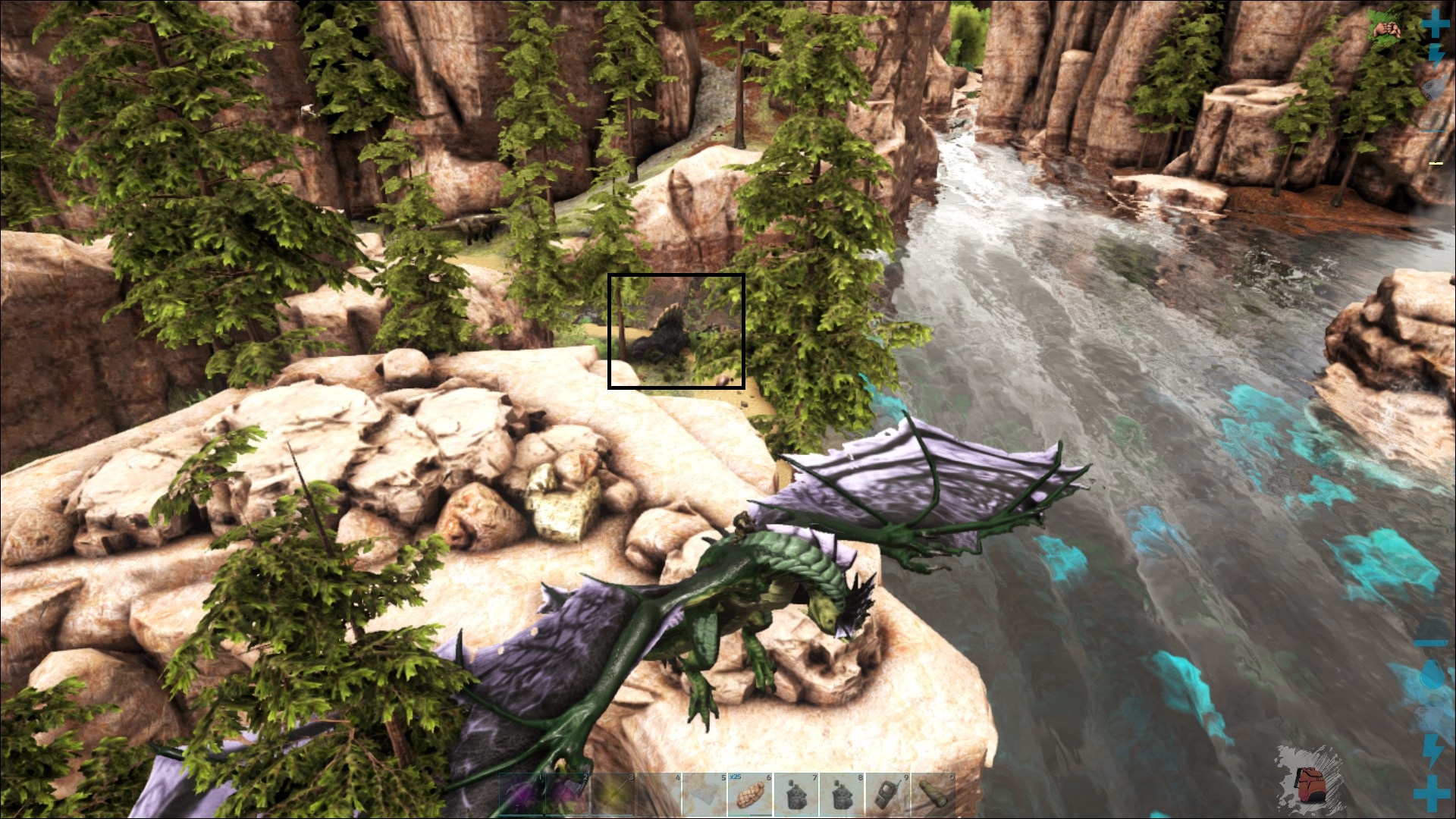 Spino Nr 2