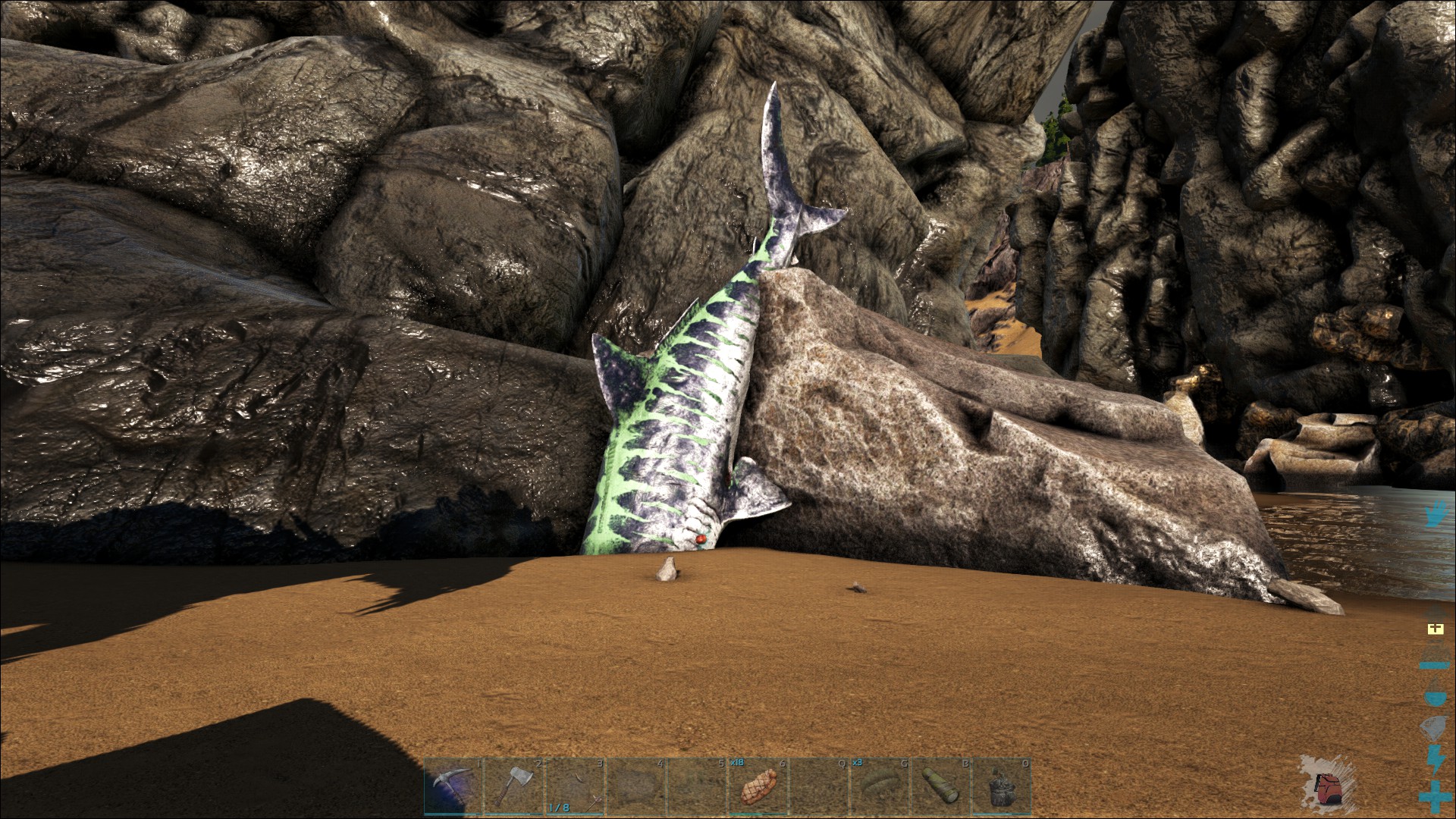 Lv 150 Megalodon steckt etwas fes-  wtf?