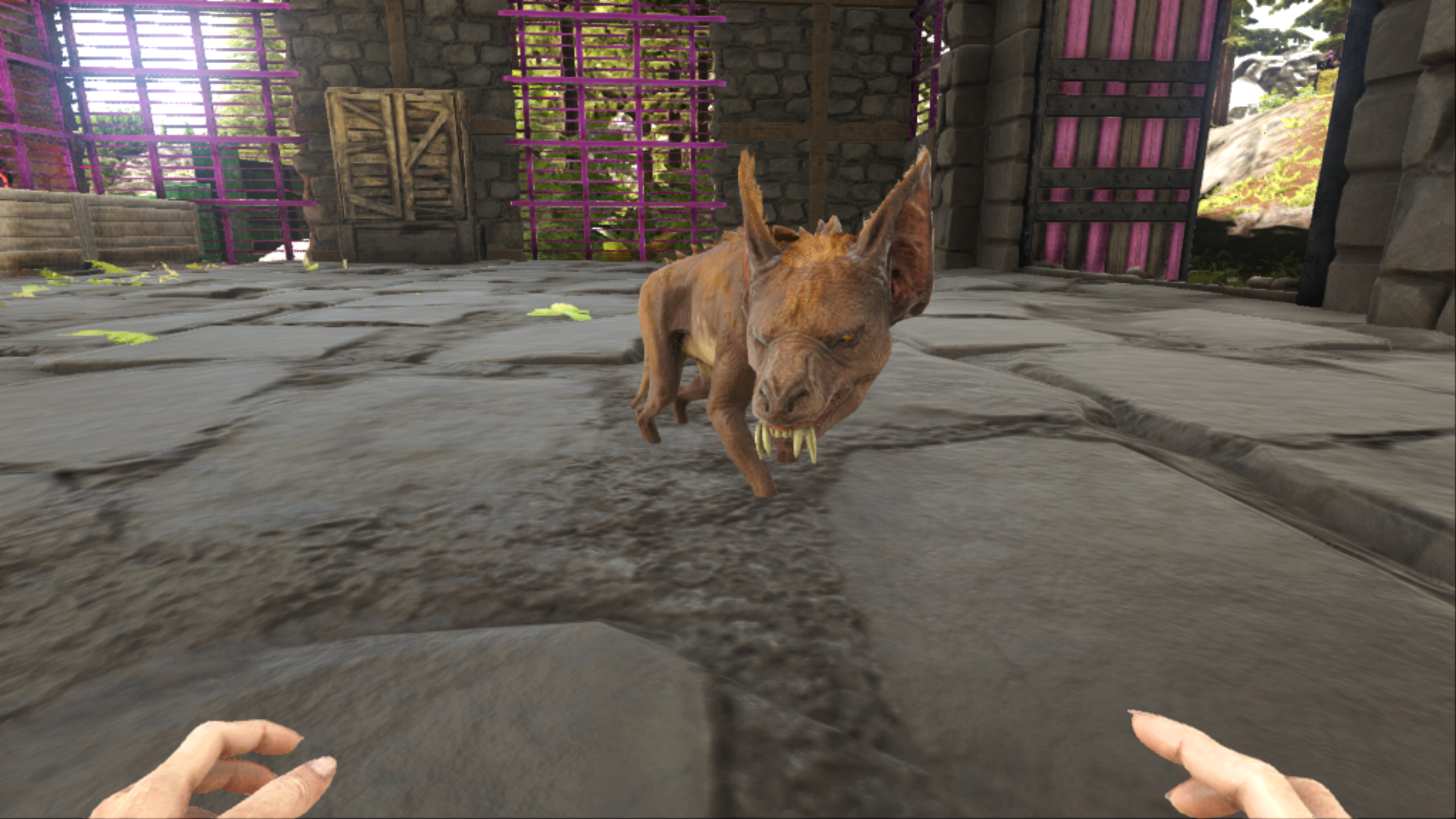 Ravager Baby