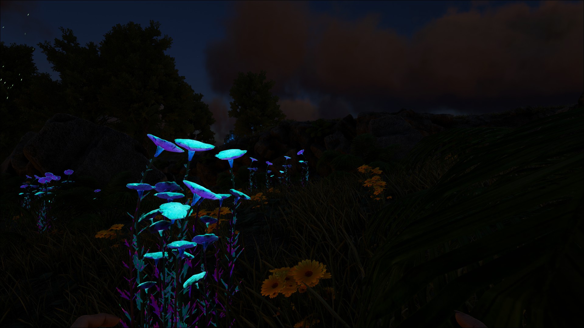 Leuchtiblumen