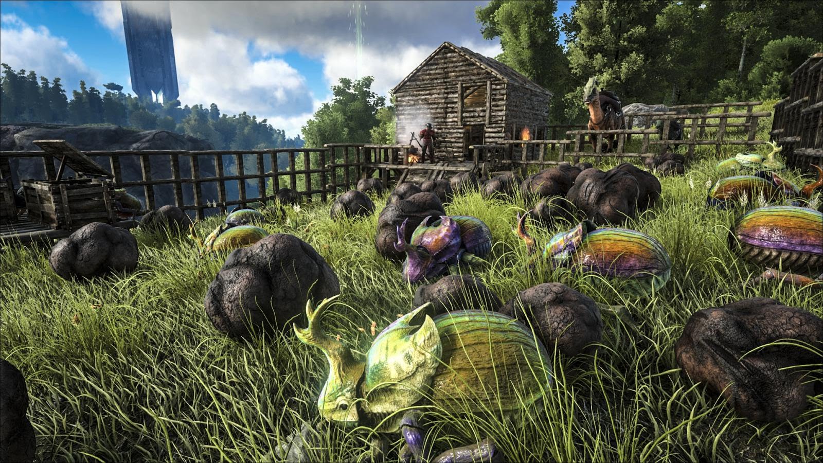 Spotlight: Dimetrodon & Dung Beetle!
