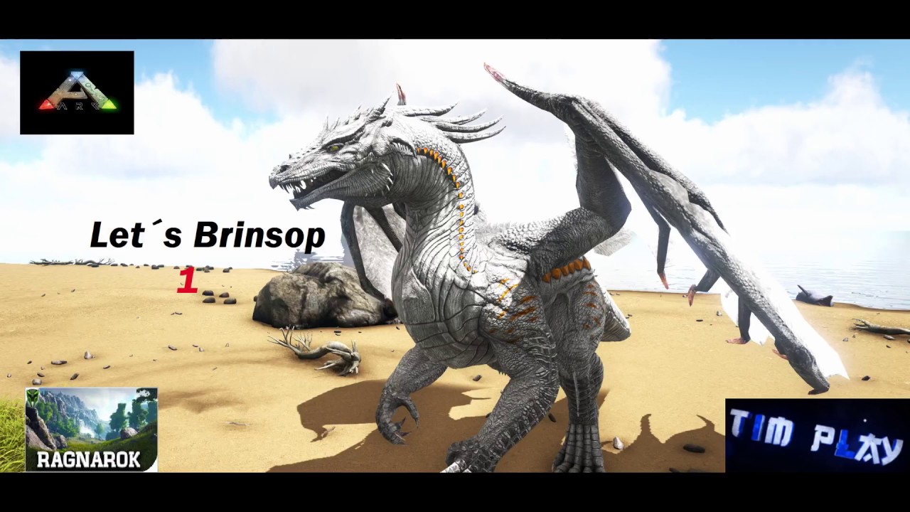 Let´s Brinsop 1