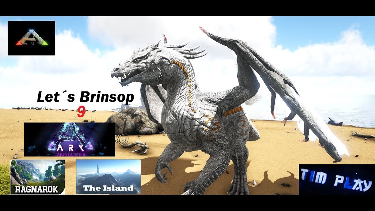 Let´s Brinsop 9