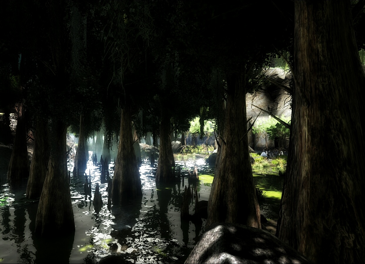Licht und Schatten im Sumpf