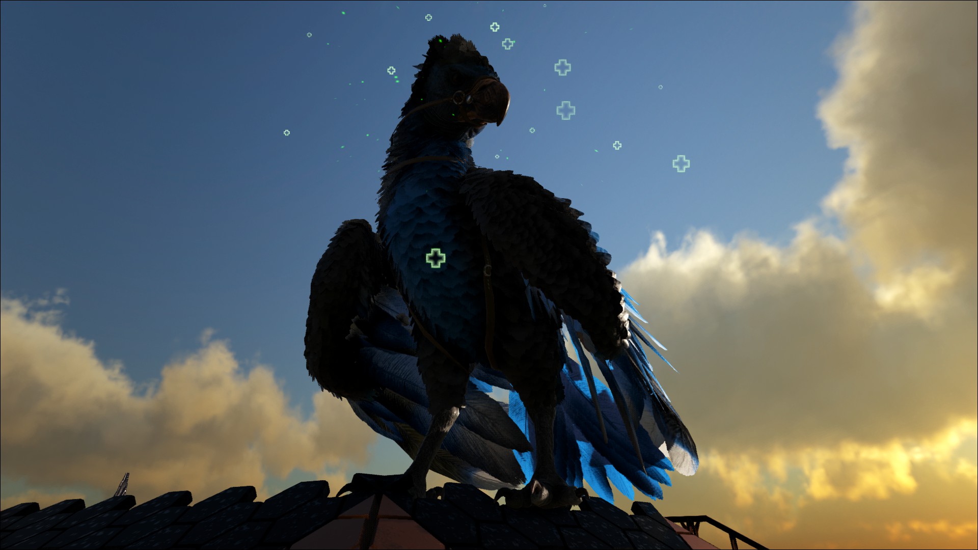 Majestic...