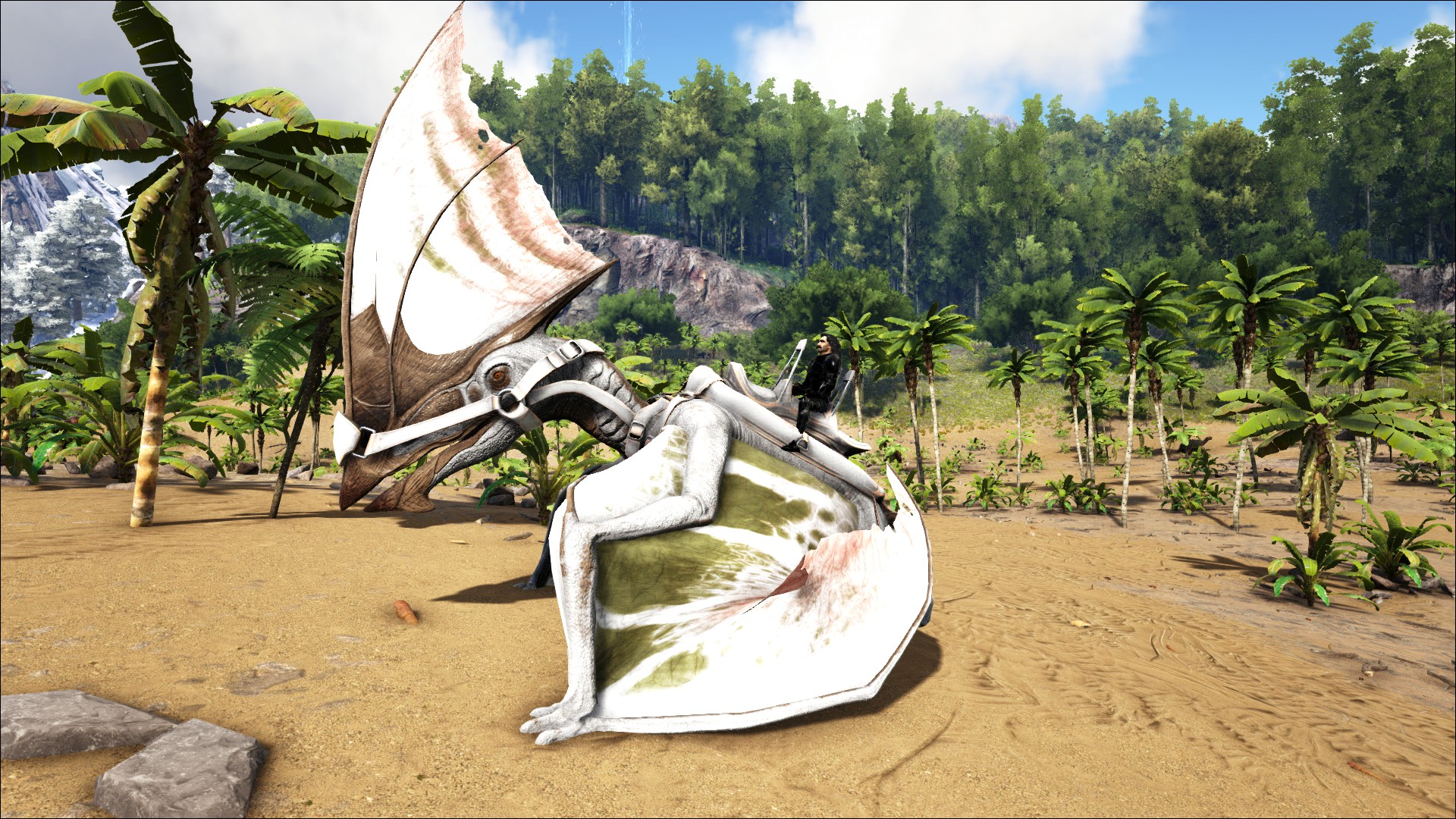 Albino Tapejara