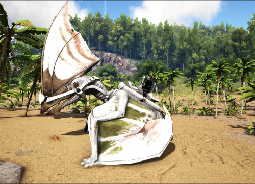 Albino Tapejara