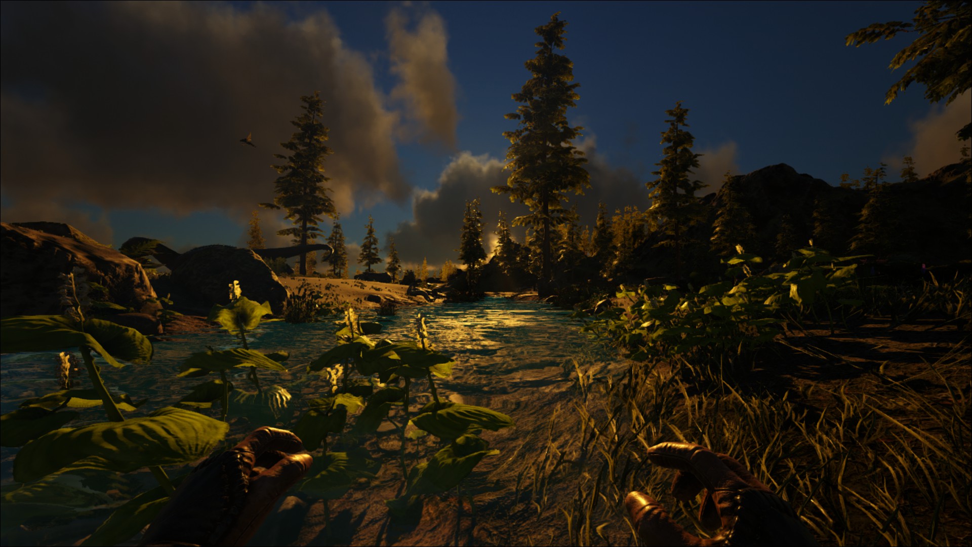 ARK is ja schon hübsch. Und das auf nur mittleren Einstellungen