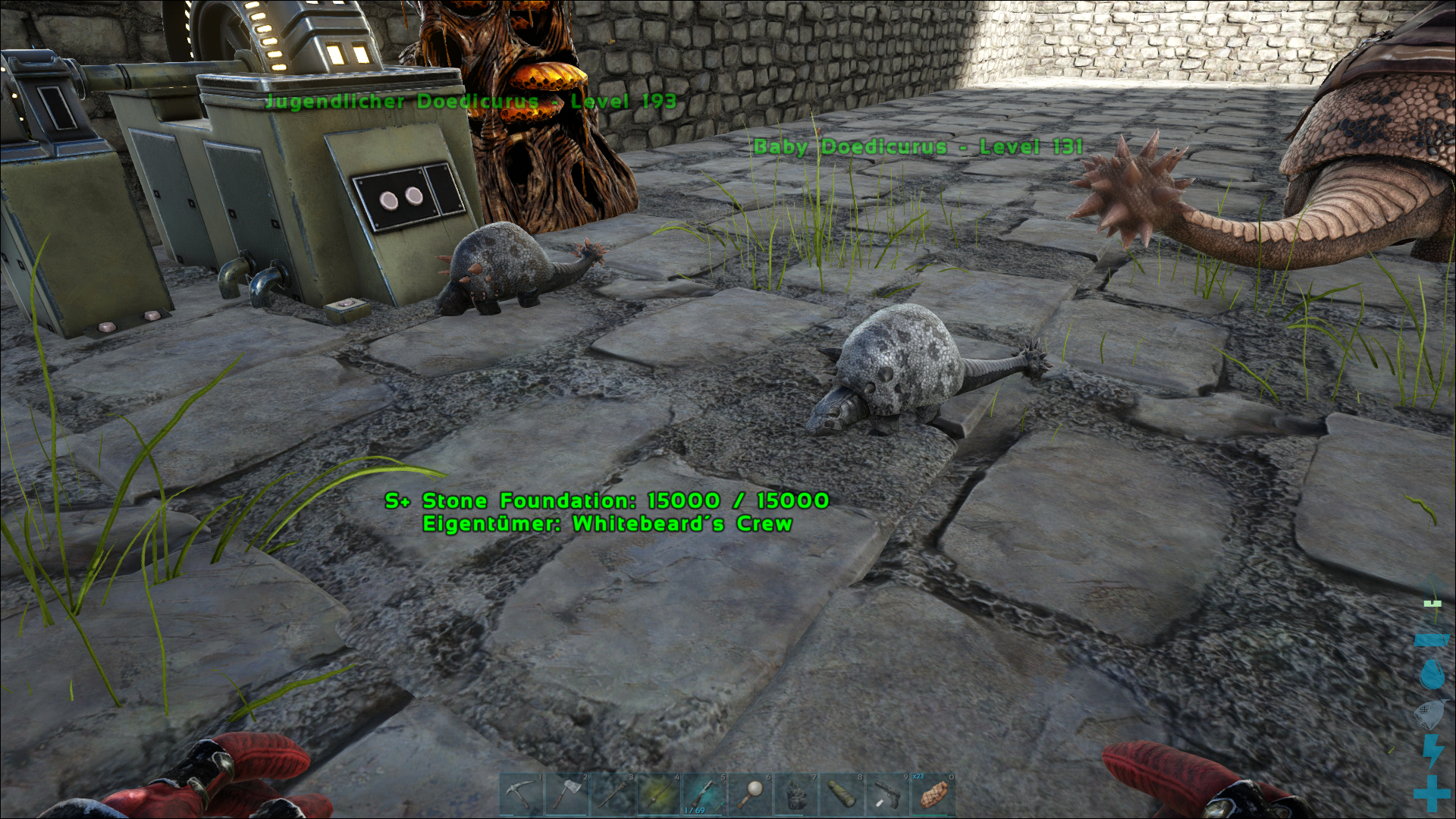 Doedicurus