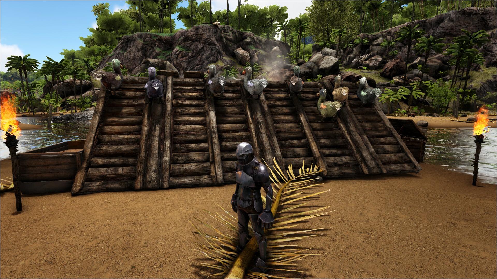 Dodo-Eier-Farm