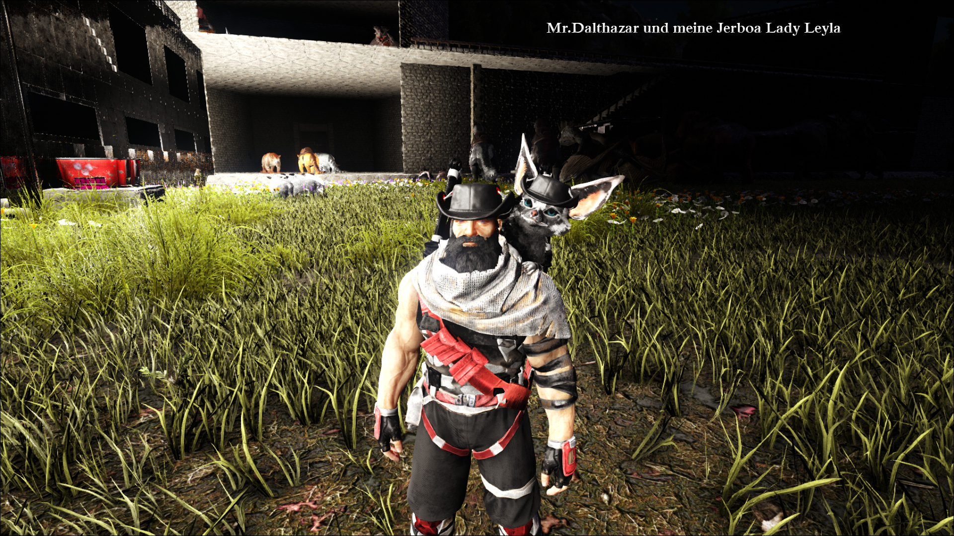 Lady Leyla und Mr.Dalthazar