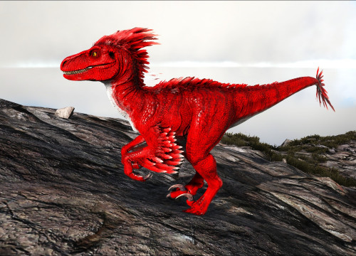 Roter Raptor