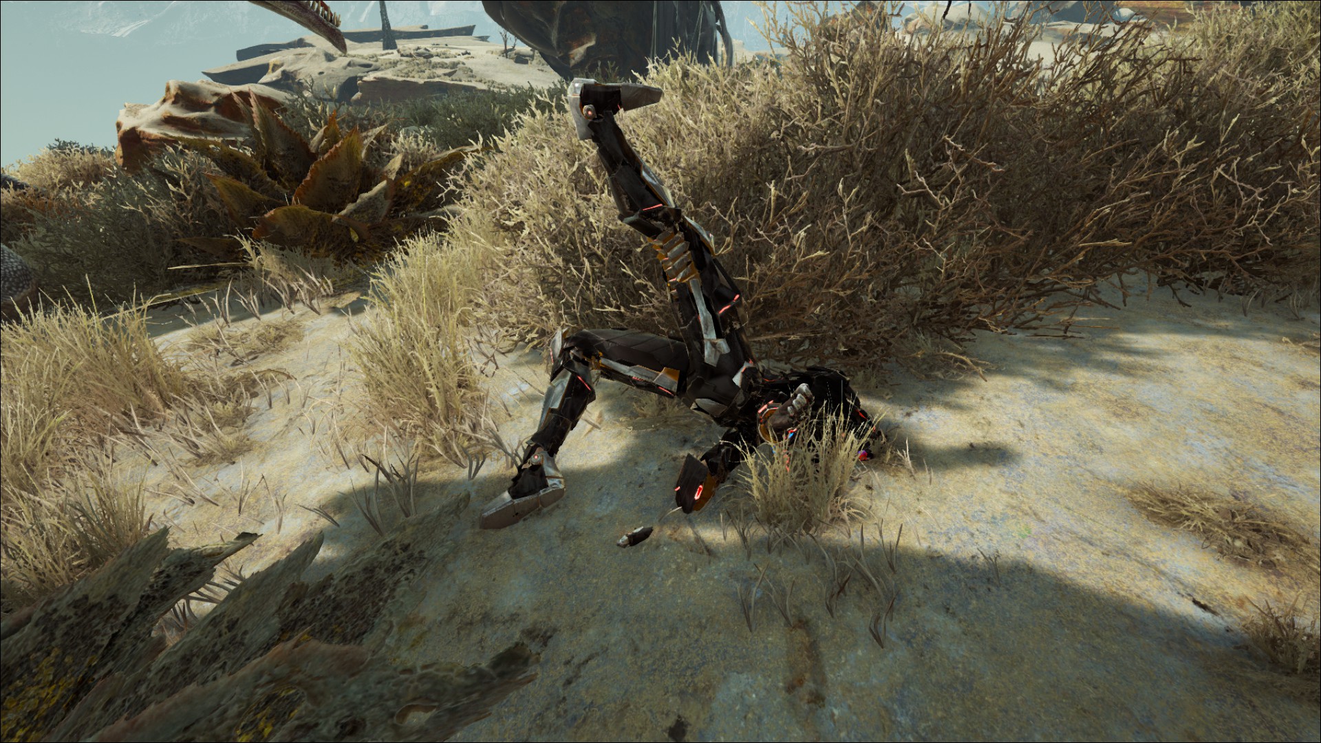 Yoga?