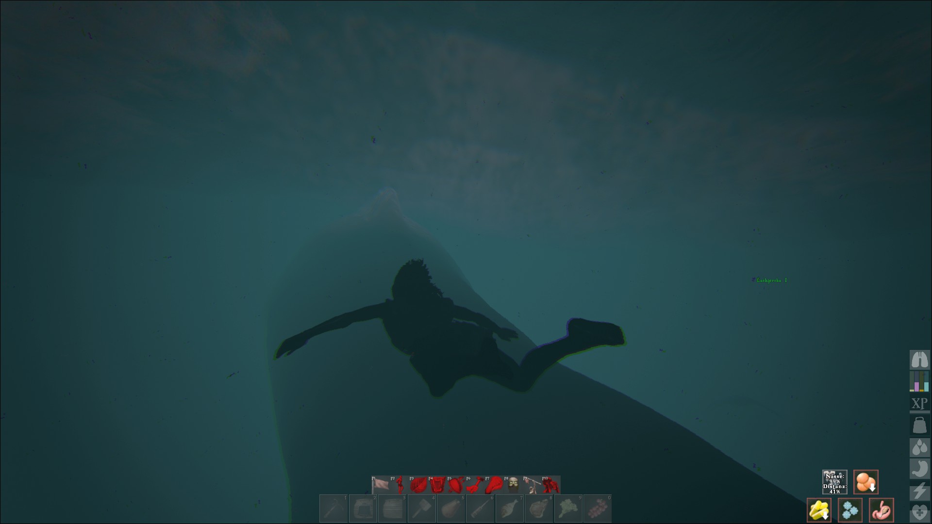 die mit dem Wal schwimmt