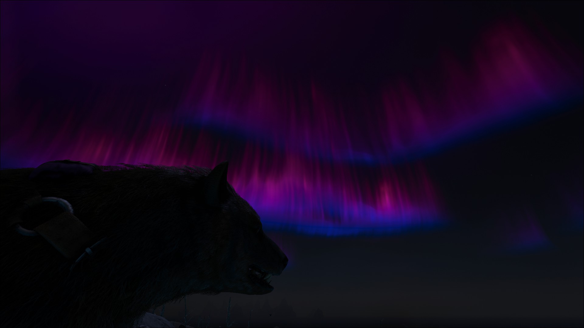 Aurora