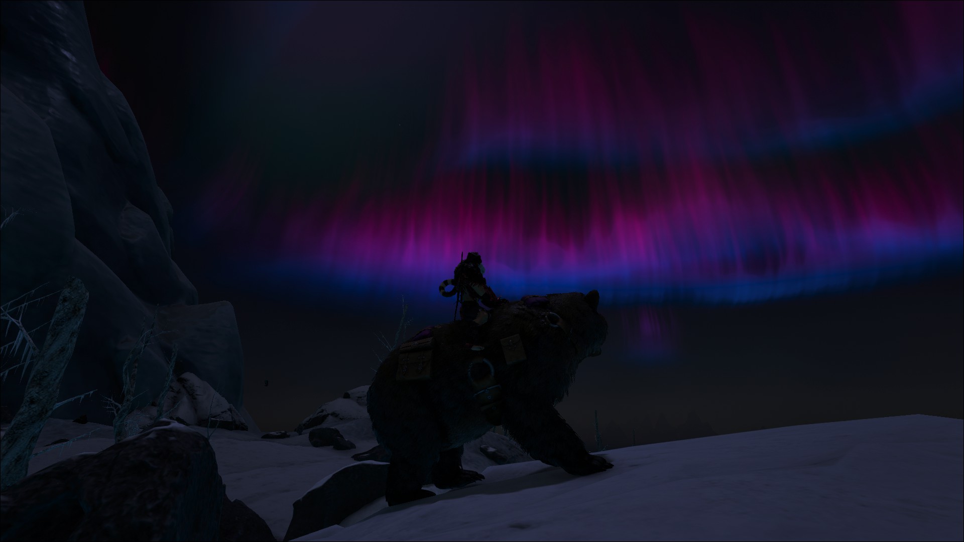 Aurora