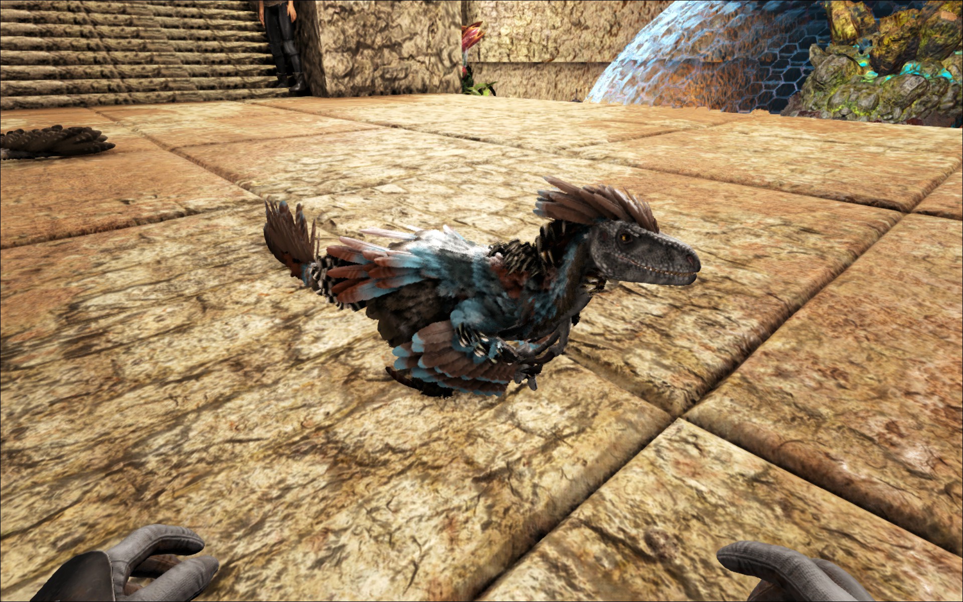 Der Kleine ^^