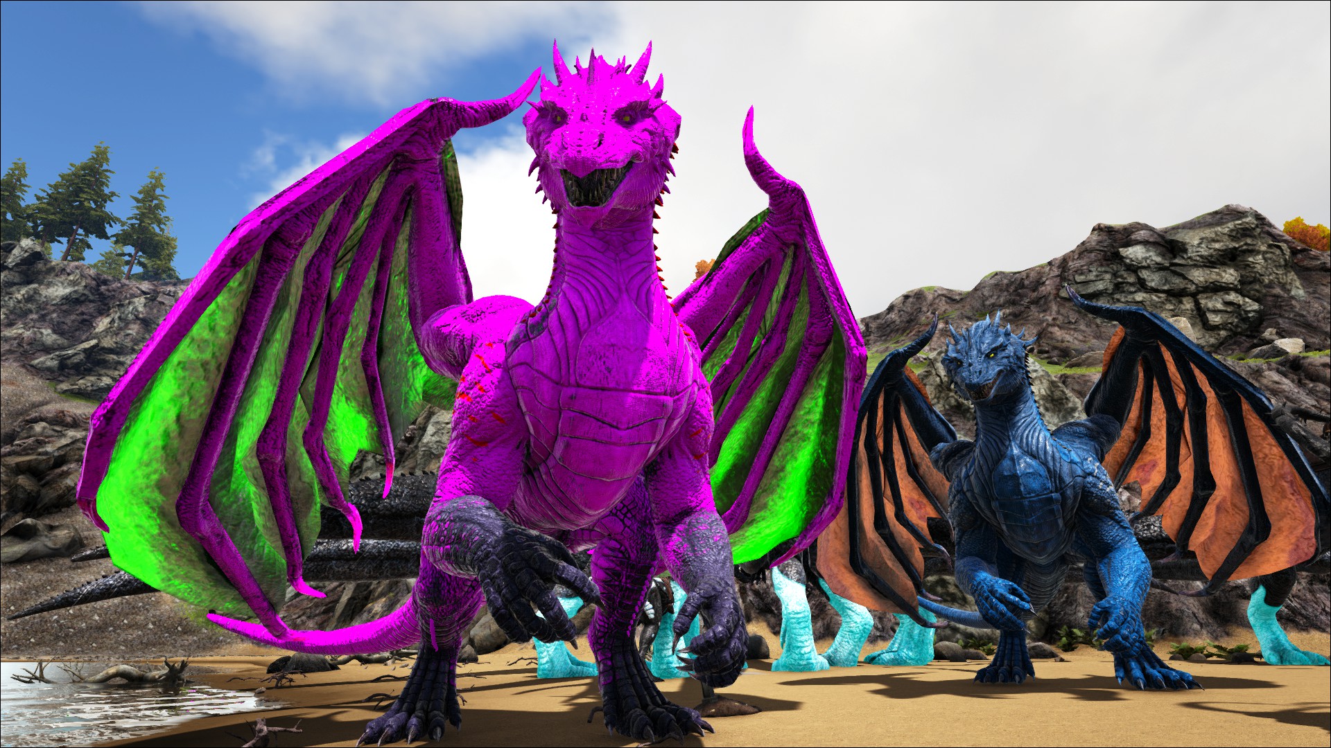 Drachen Pärchen