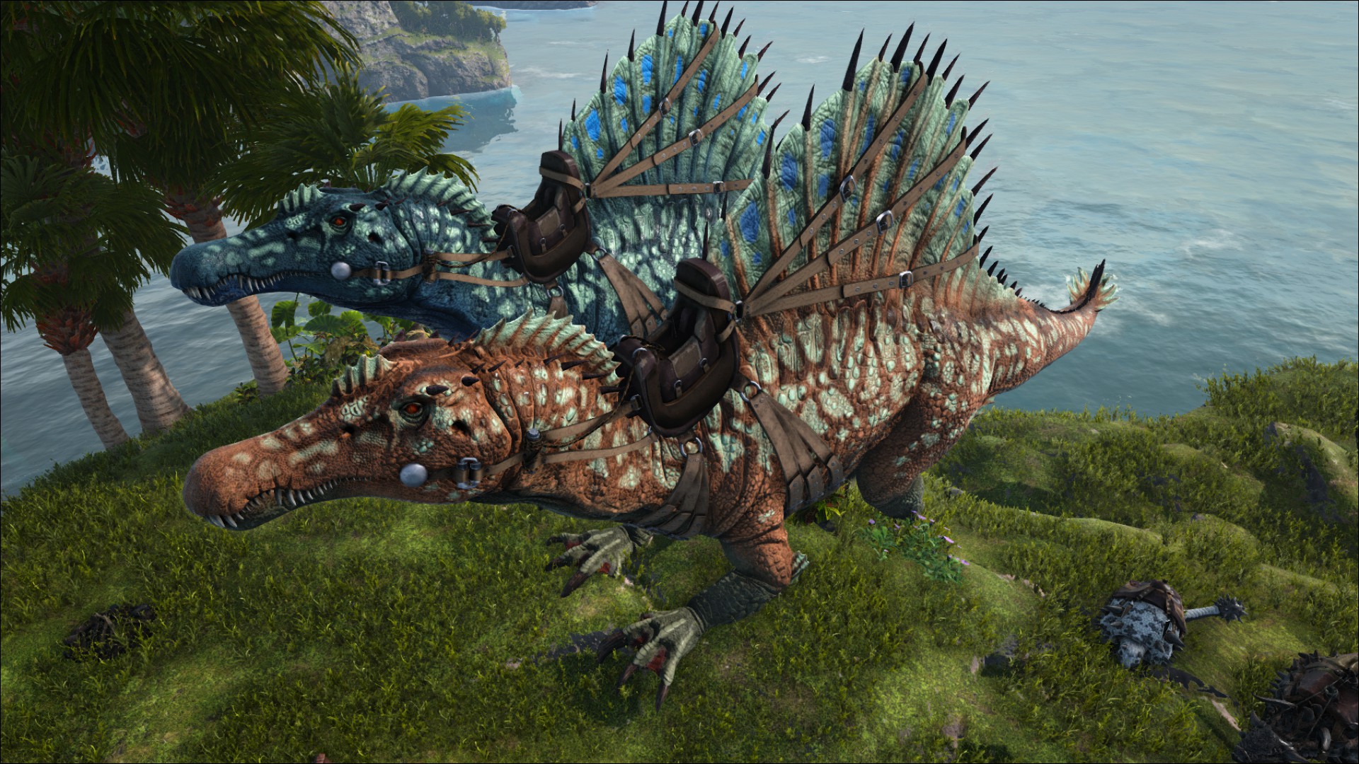X-Spino Pärchen