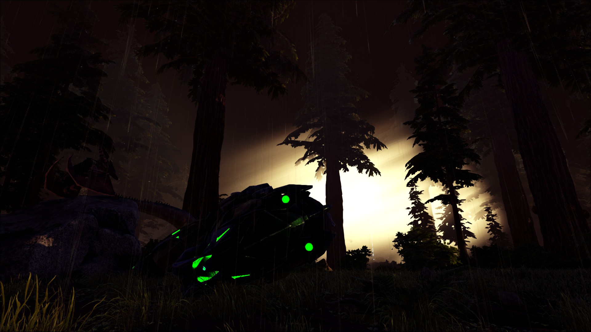 Mystisch im Redwood - The Island