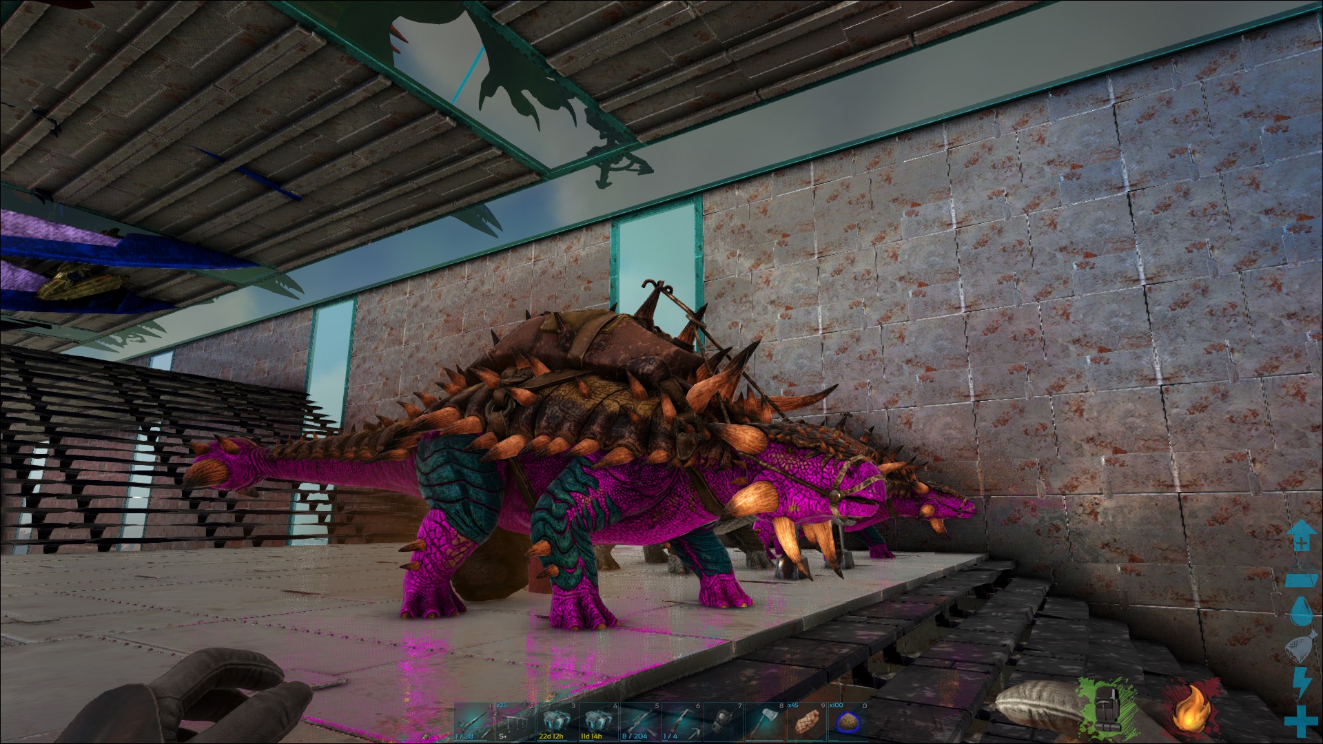 Anky Mutation