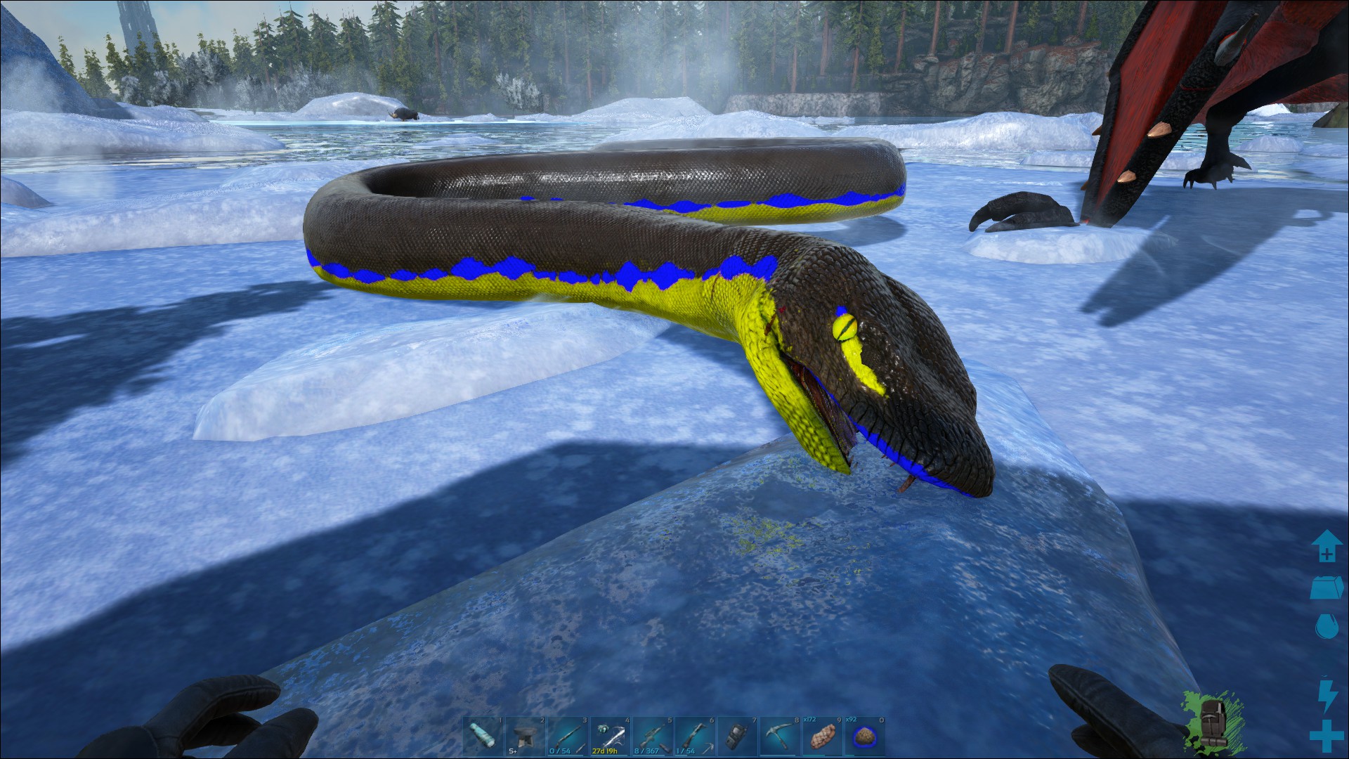 Mega Schlange - Giganthophis!!