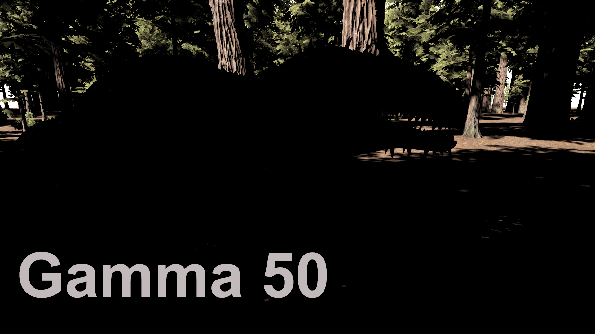 Willkommen im Dark Forest