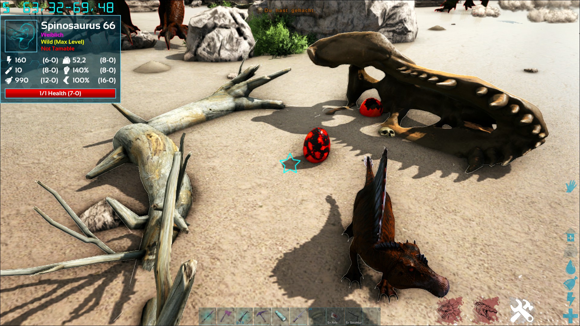 Herziger Spino