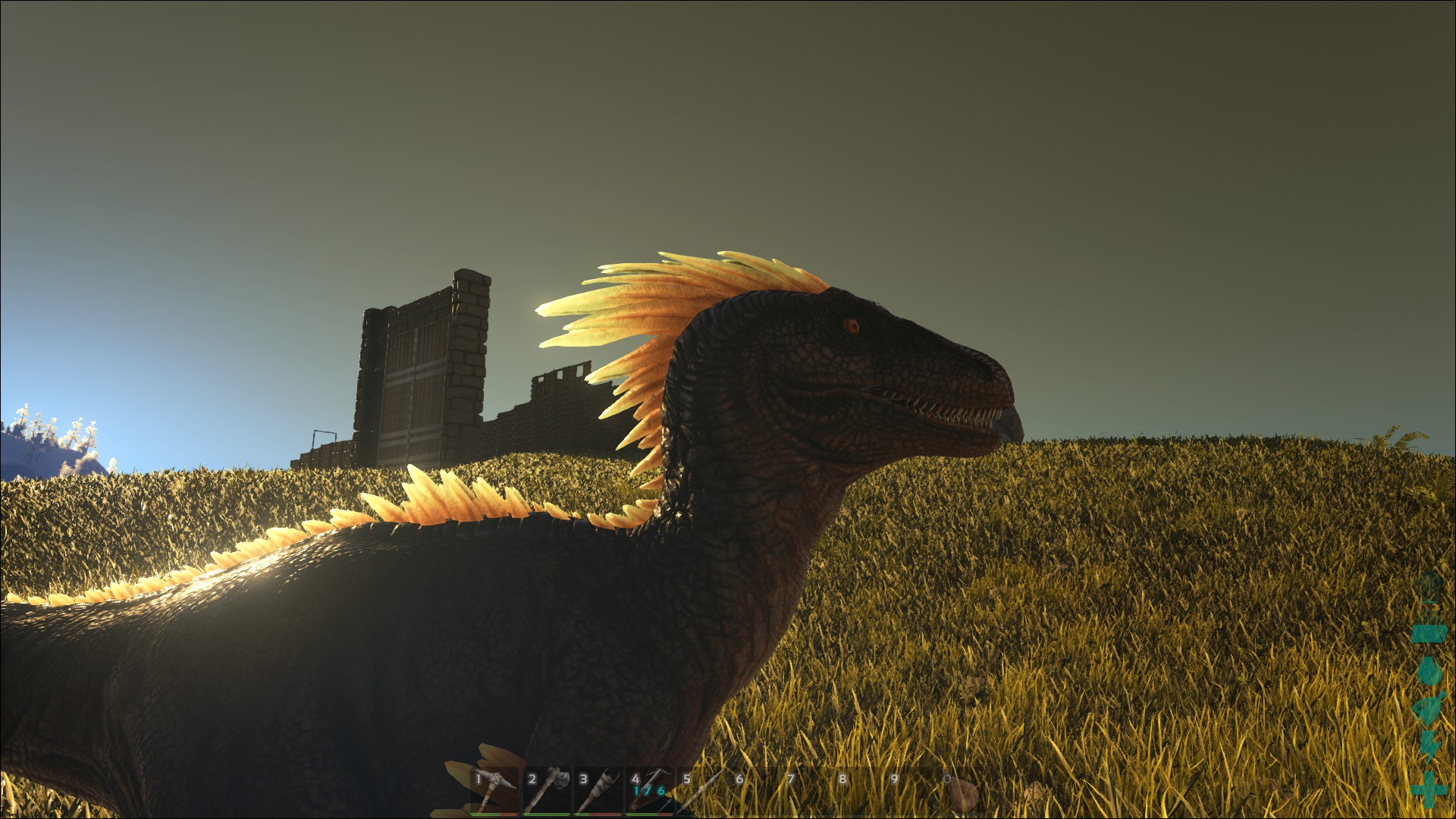 Schicke Friese :D