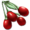 456-30px-tintoberry-png